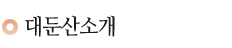대둔산소개